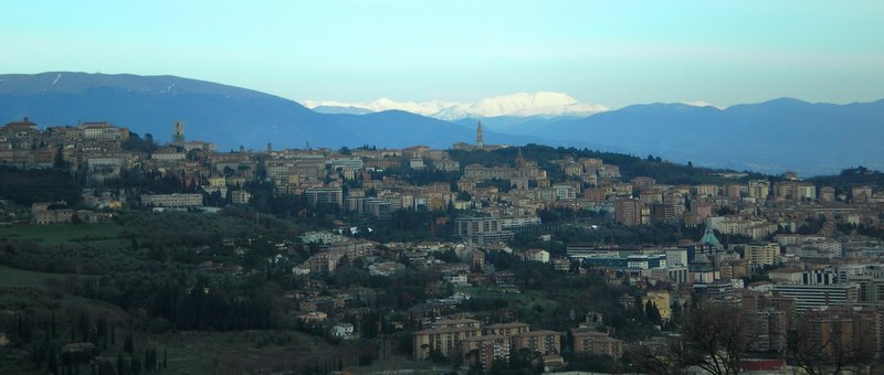 i Charaxes di Monte Malbe